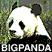 Bigpanda!