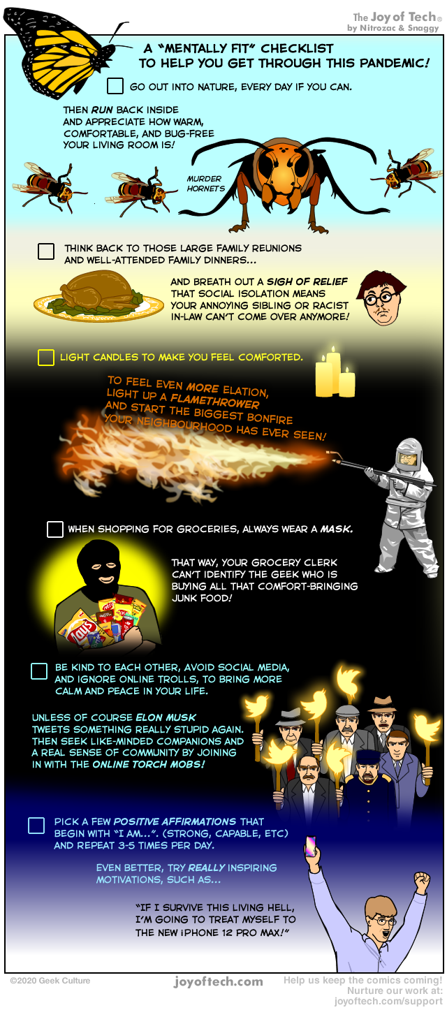 Pandemic mental checklist!